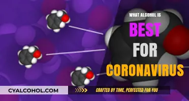 Alcohol and COVID-19: Best Options for Safe Disinfection and Consumption