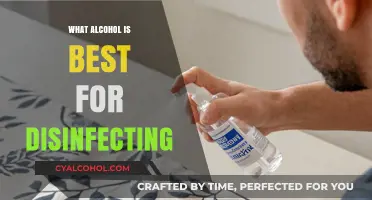 Best Alcohol for Disinfecting: Isopropyl vs. Ethanol vs. Rubbing Alcohol