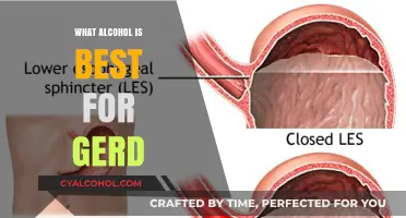 Best Alcohol Choices for Managing GERD Symptoms Effectively