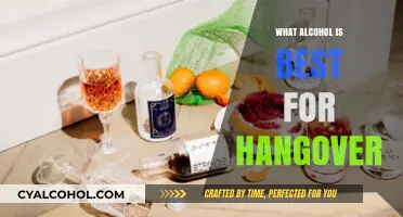 Best Alcohol Choices to Minimize Hangover Symptoms and Recovery Time