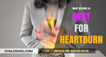 Best Alcohol Choices to Avoid Heartburn: A Guide for Relief