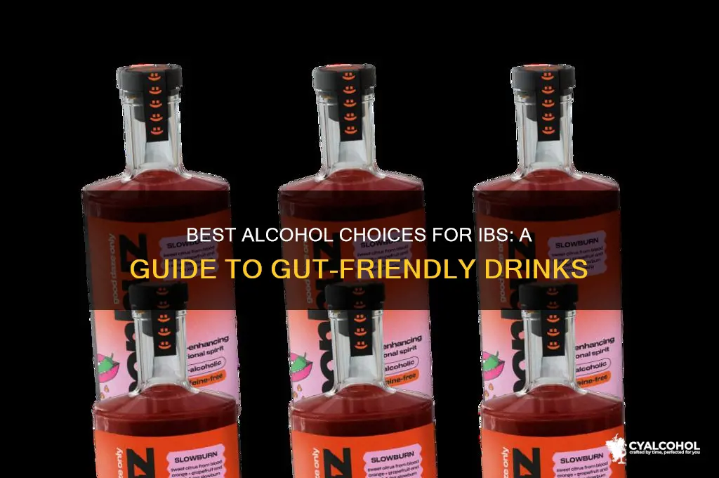 what alcohol is best for ibs