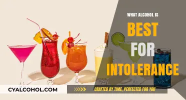 Best Alcohol Options for Those with Intolerance: A Comprehensive Guide