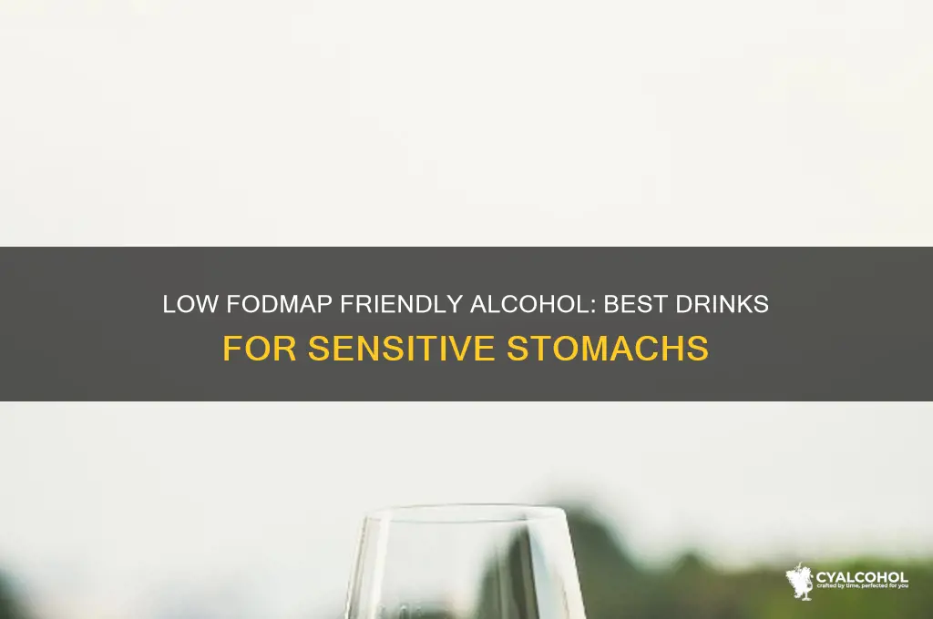 what alcohol is best for low fodmap diet
