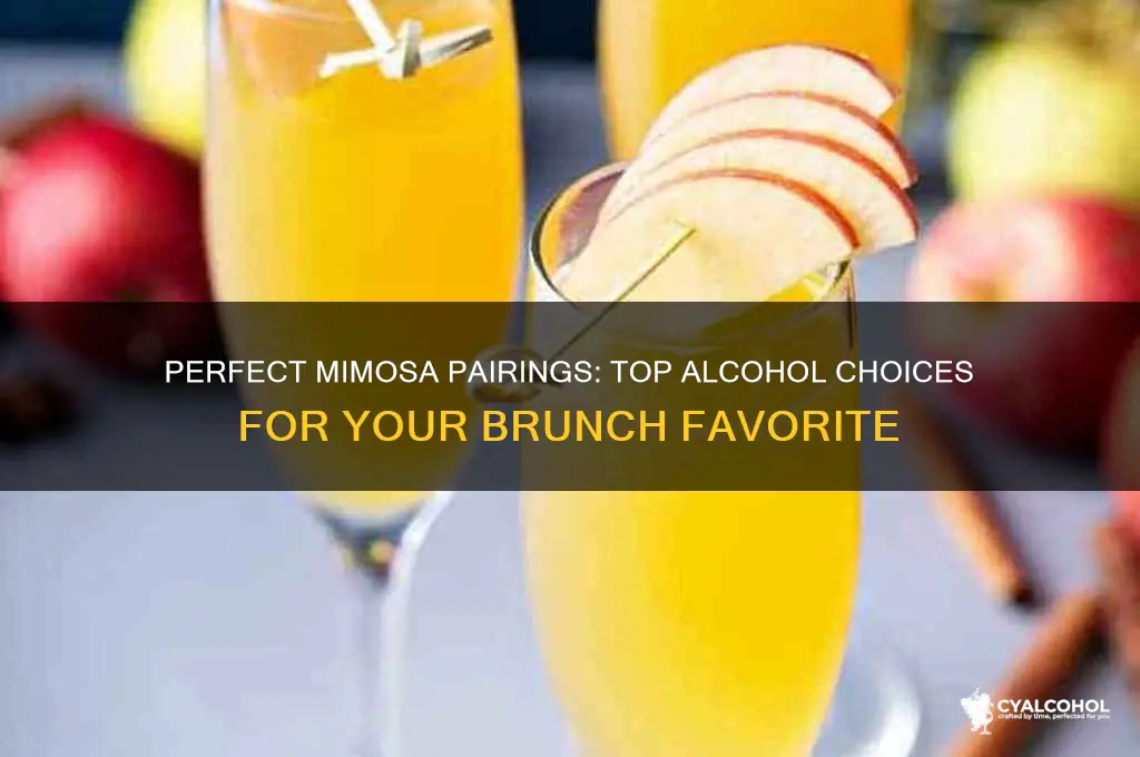 what alcohol is best for mimosas