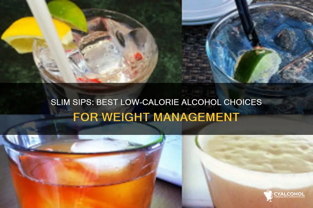 what alcohol is best for not gaining weight