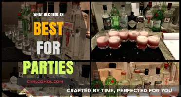 Top Party Alcohol Picks: Crowd-Pleasing Drinks for Every Celebration