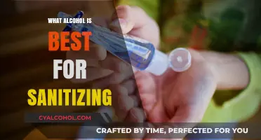 Best Alcohol for Sanitizing: A Guide to Effective Disinfection