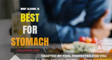 Gentle on the Gut: Best Alcohol Choices for a Healthy Stomach
