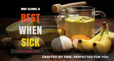 Soothe Your Symptoms: Best Alcohol Choices When You're Feeling Under the Weather