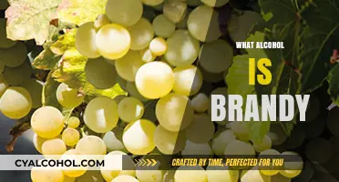 Understanding Brandy: Origins, Production, and Unique Characteristics Explained