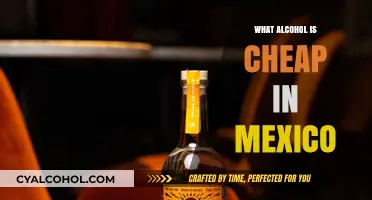 Budget-Friendly Booze: Discover Mexico's Affordable Alcohol Options