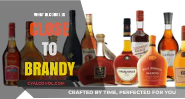 Exploring Brandy Alternatives: Similar Spirits to Enhance Your Collection