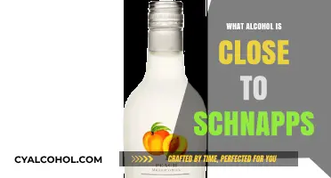 Exploring Schnapps Alternatives: Similar Spirits to Try and Enjoy