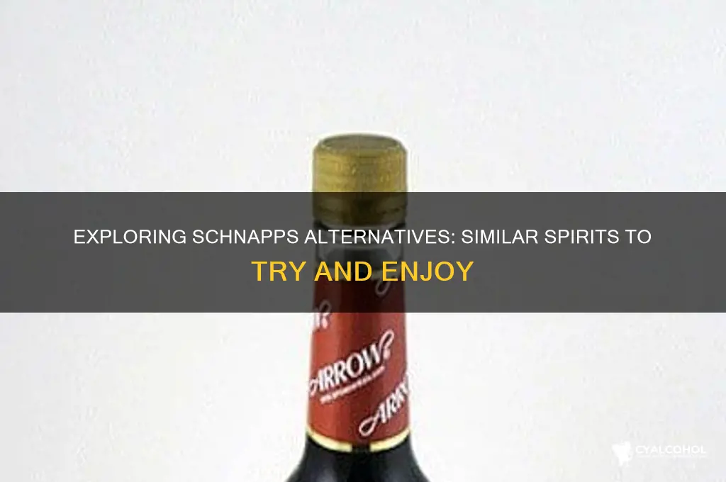 what alcohol is close to schnapps