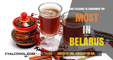 Belarus' Favorite Drink: The Most Consumed Alcohol Revealed