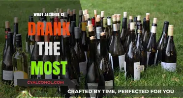 The Most Popular Alcoholic Beverages Worldwide: A Consumption Overview