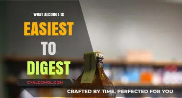 Gentle on the Stomach: Discover the Easiest Alcohol to Digest