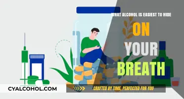 Concealing Alcohol Breath: Best Drinks to Hide It