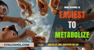 Easiest Alcohol to Metabolize: Your Guide to Lighter Drinking Options