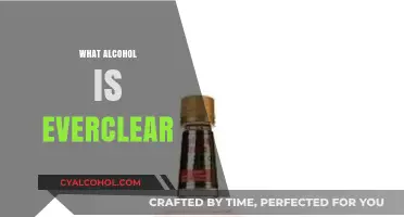 Understanding Everclear: The High-Proof Alcohol Explained Simply