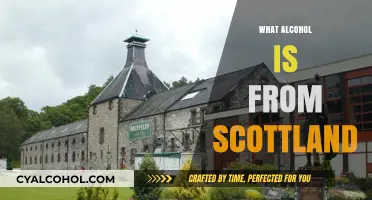 Exploring Scotland's Signature Spirits: A Guide to Traditional Scottish Alcohol