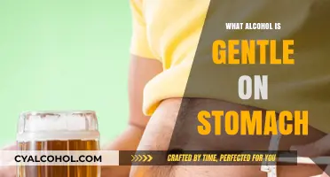 Stomach-Friendly Spirits: Discovering Gentle Alcohol Options for Sensitive Stomachs