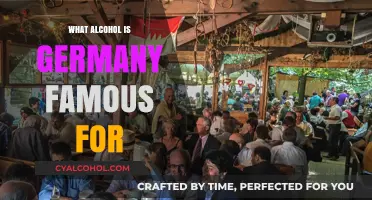 Germany's Iconic Alcohol: Exploring Famous Beers, Wines, and Spirits