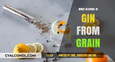 Gin's Grain Origins: Unveiling the Base Spirit's Surprising Source