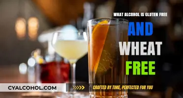 Gluten-Free & Wheat-Free Alcohol Guide: Safe Drinks for Celiacs