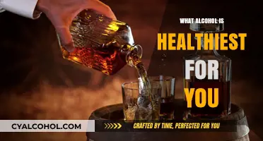 Healthiest Alcohol Choices: Balancing Enjoyment with Wellness Benefits