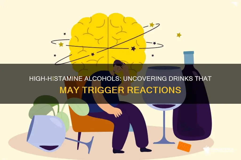 what alcohol is high in histamine