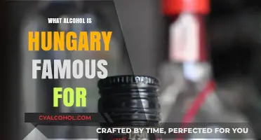 Hungary's Signature Spirits: Exploring the Country's Iconic Alcoholic Delights