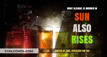 The Sun Also Rises: Exploring the Alcoholic Beverages in Hemingway's Novel
