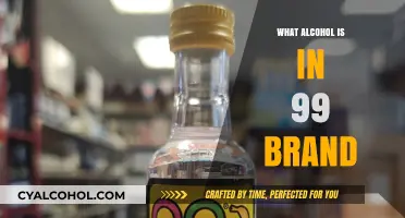 Unveiling the Spirit: What Alcohol is in 99 Brand?