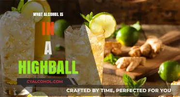 Exploring the Classic Highball: Key Alcohol Ingredients and Mixology Tips