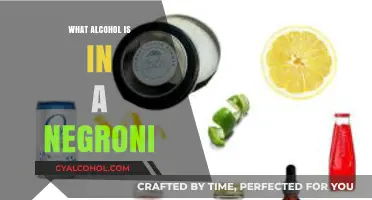 Discover the Classic Spirits in a Negroni Cocktail Recipe