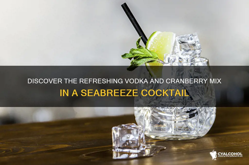what alcohol is in a seabreeze
