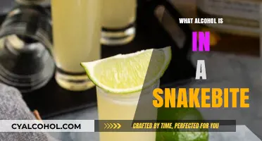What's in a Snakebite? Unveiling the Alcoholic Ingredients of this Classic Drink