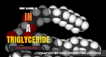 Understanding the Role of Alcohol in Triglyceride Structure and Function