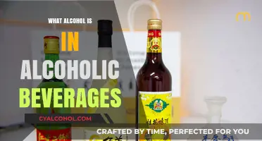 Understanding Alcohol Types in Your Favorite Beverages: A Comprehensive Guide