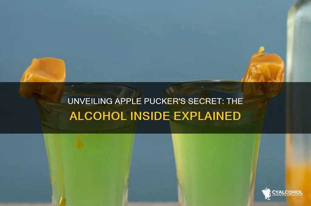 what alcohol is in apple pucker