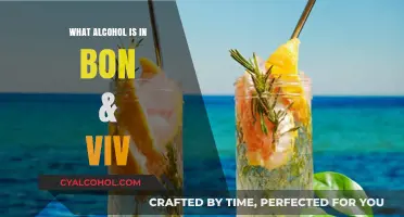 Discover the Alcohol Base in Bon & Viv's Hard Kombucha