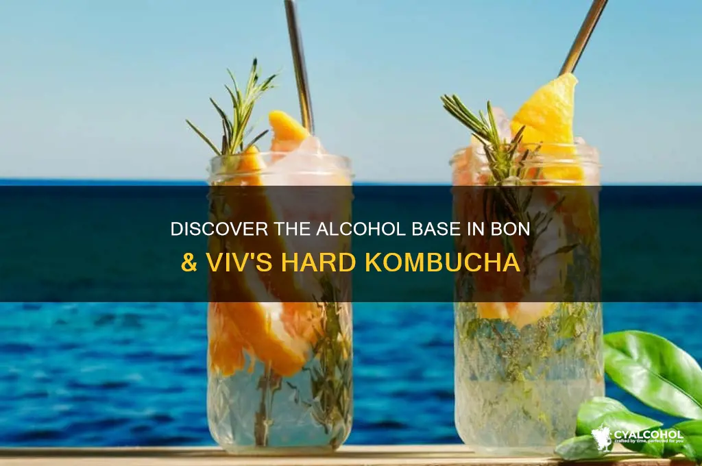 what alcohol is in bon & viv
