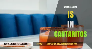 Discover the Secret Alcohol Ingredient in Traditional Cantaritos Cocktails