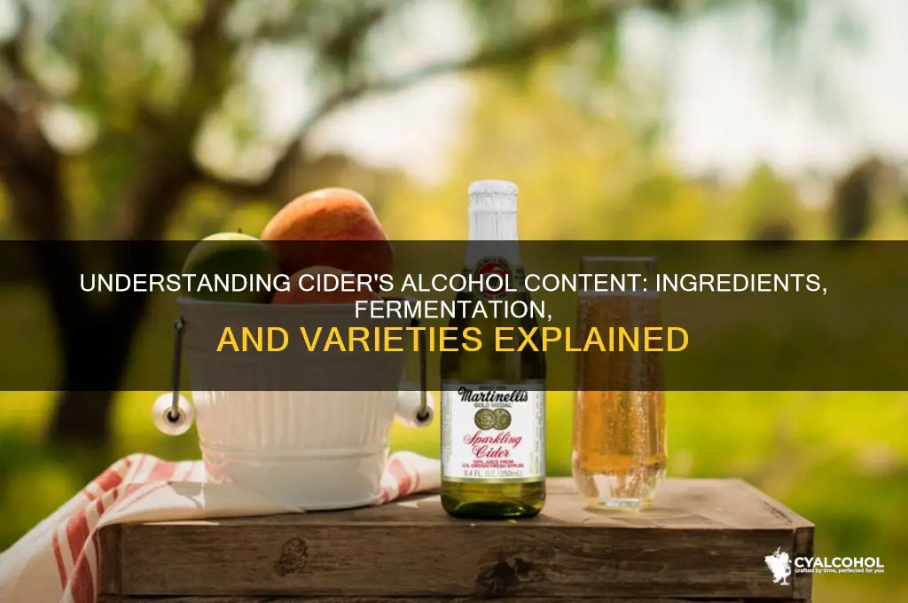 what alcohol is in cider