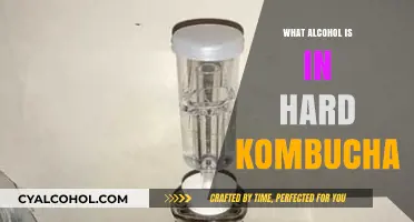 Unveiling the Buzz: What Alcohol is in Hard Kombucha?