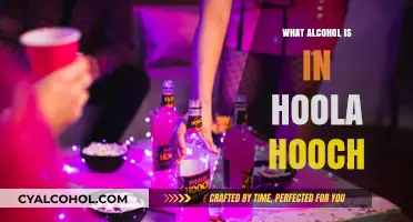 Unveiling the Alcohol Content in Hoola Hooch: A Detailed Guide