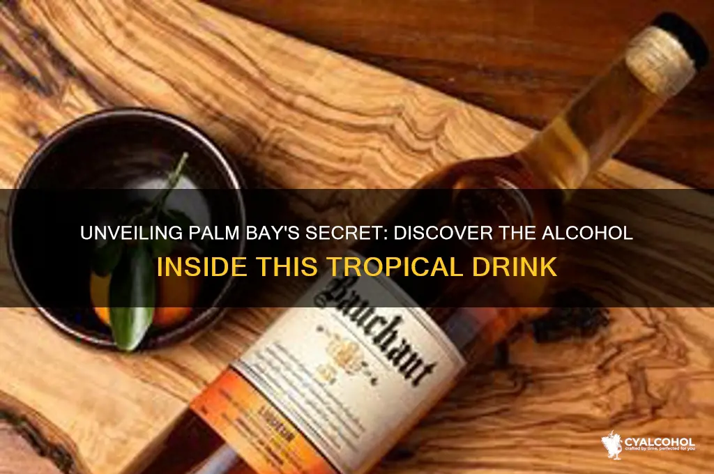 what alcohol is in palm bay
