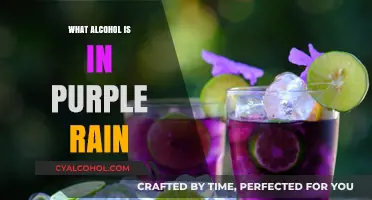 Purple Rain Cocktail: Unveiling the Alcoholic Ingredients in This Iconic Drink